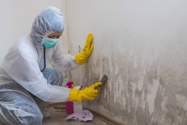 Best Asbestos and Lead Testing During Mold Inspection  in Midland Park, NJ