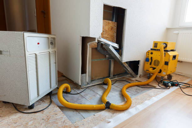 Best HVAC Mold Inspection and Cleaning  in Midland Park, NJ